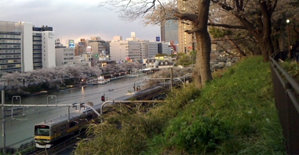 飯田橋の桜