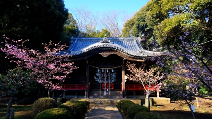 吾妻山神社