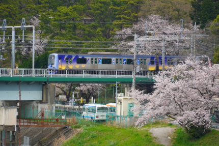 多摩川台公園の桜と東急