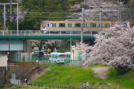 多摩川台公園の桜と東京メトロ