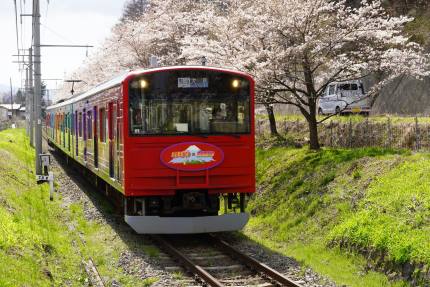 寿駅の桜
