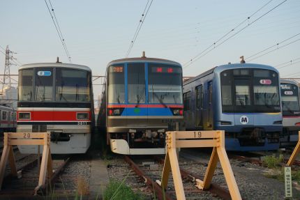 �����ȸ��ֶ�