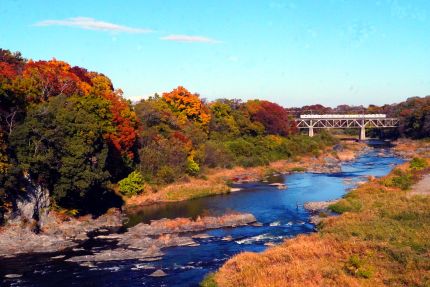 ����Ŵƻ�����