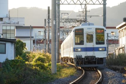 ����Ŵƻ�����