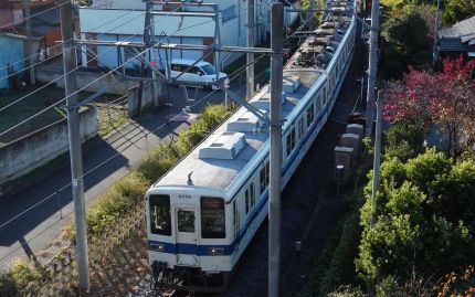 ����Ŵƻ�����