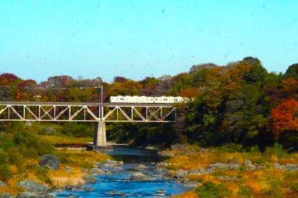 ����Ŵƻ�����