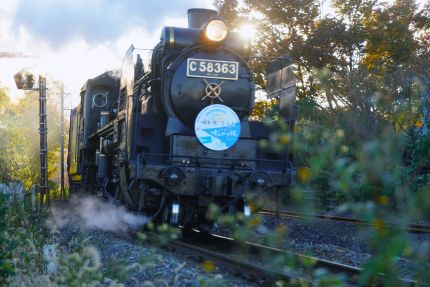 �Х����������ץ쥹��