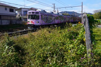 ����Ƨ��