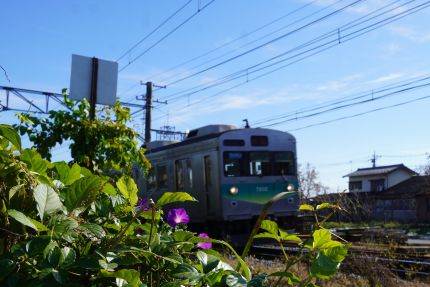 ����Ƨ��