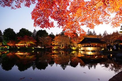 ���µ�ǰ����