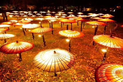 ���µ�ǰ����