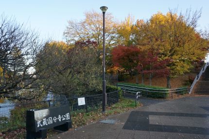 ��¢ԢΩ����