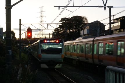 ����ʬ����