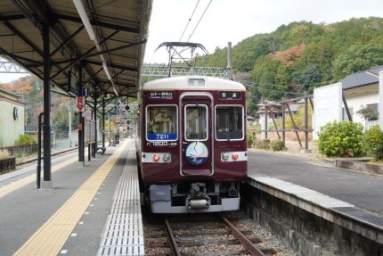 ǽ������̯������