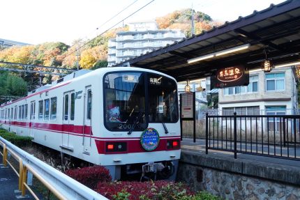 ������Ŵ��ͭ�ϲ�����