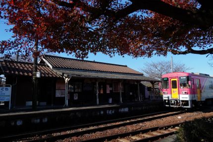 �̾�Ŵƻ��ˡ�ڸ���