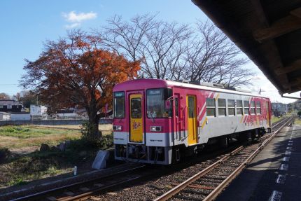 �̾�Ŵƻ��ˡ�ڸ���