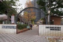 �Ǥ����Τߤ�