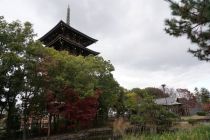 �Ǥ����Τߤ�