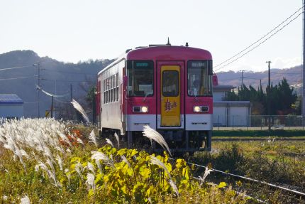 �̾�Ŵƻ���ĸ���