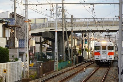 ������Ŵ