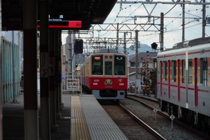 ������Ŵ