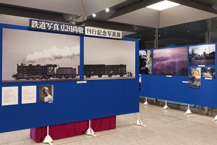 Ŵƻ�̿������ľ���