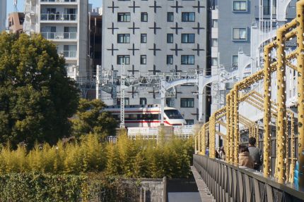 ���𥹥����ĥ꡼�饤��