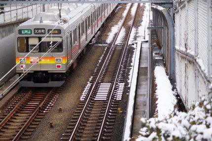 ������Į������«��