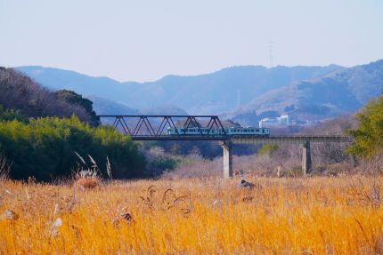 ����110��