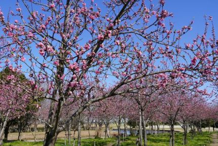 ����䤷���ե��ѡ���