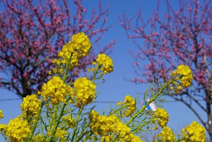 ����䤷���ե��ѡ���