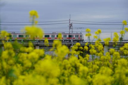 ����첣��