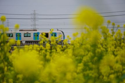 ����첣��