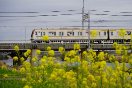 ����첣��