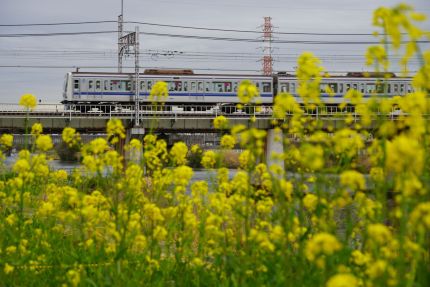 ����첣��