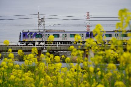 ����첣��