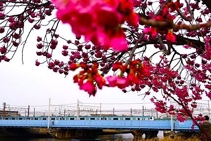 JR����������