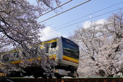 ���������ɲϸ��κ�