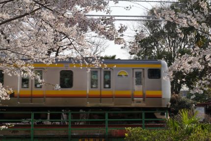 ���������ɲϸ��κ�