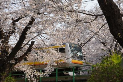 ���������ɲϸ��κ�