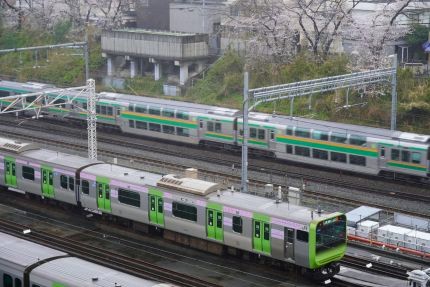 �������ָ�